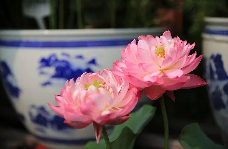 北海今日概况与动态更新