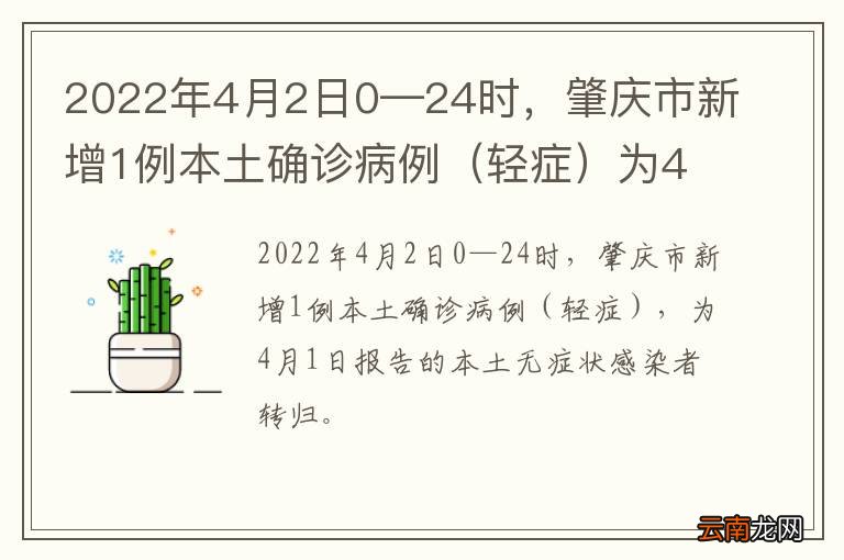 肇庆最新病例，全面防控与公众信心的建立