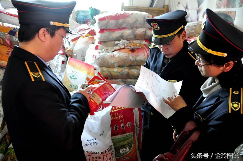 江西玉米价格最新行情及分析概述
