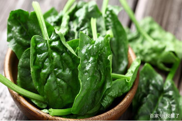 山东菠菜最新价格行情及分析